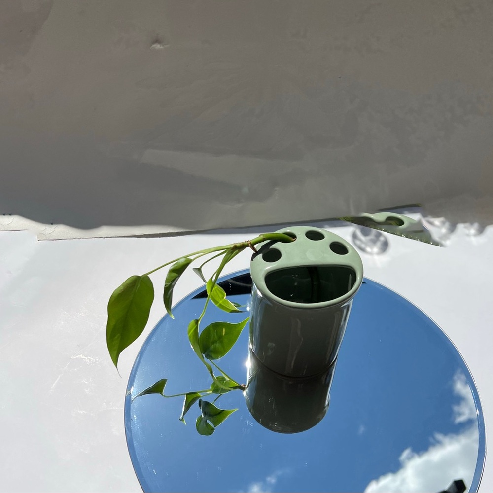 Mint green toothbrush holder plant propagation station